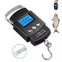 Portable LCD Electronic Hand Scale with Measuring Tape - 50kg/10g
